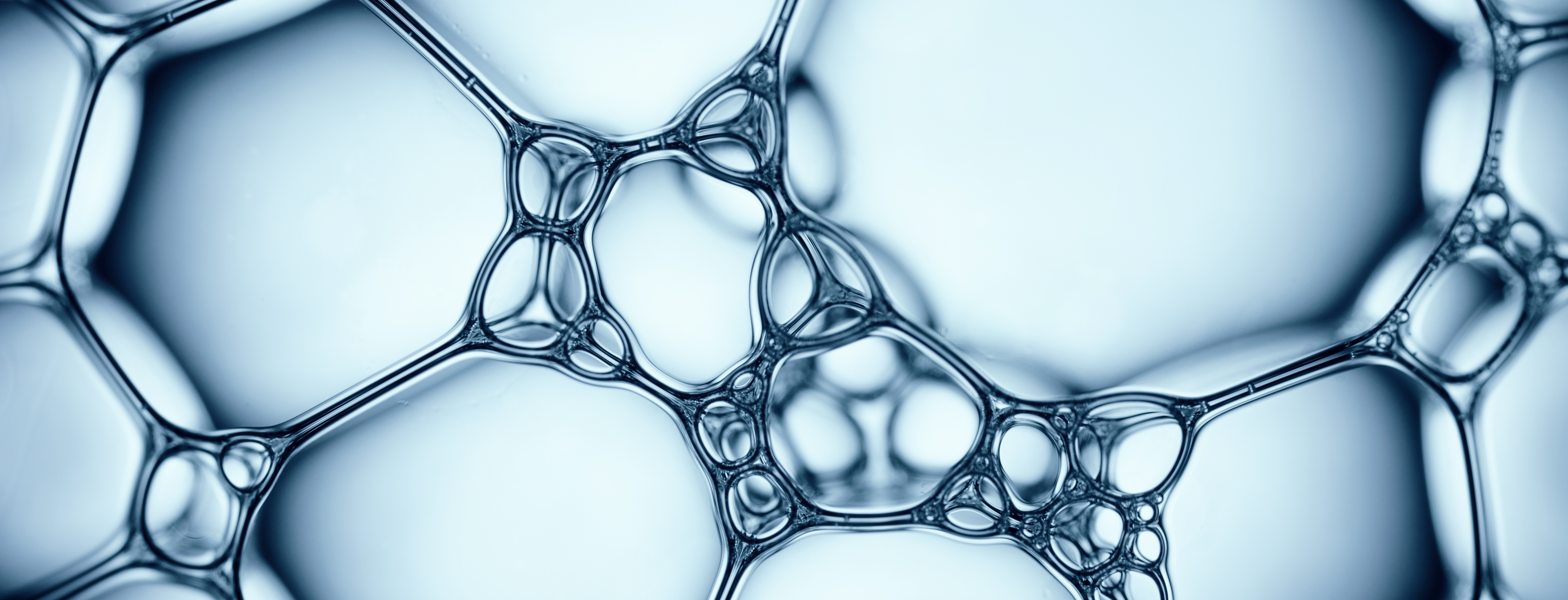 Research of foam – Foam analysis | KRÜSS Scientific