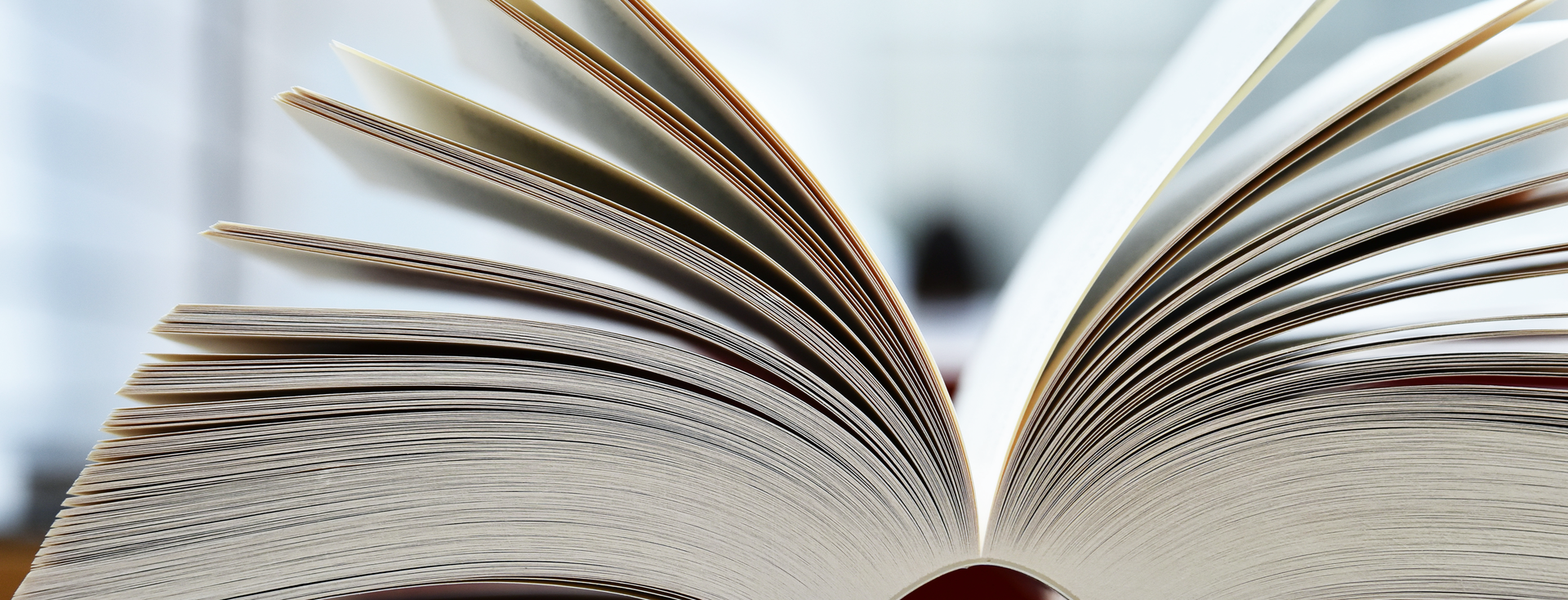 close-up of an open book close-up of an open book